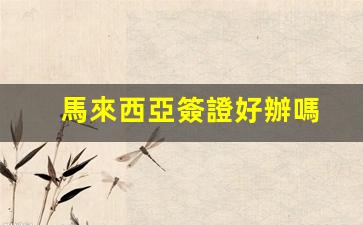 馬來西亞簽證好辦嗎(馬來西亞簽證好辦嗎 可以待多久)