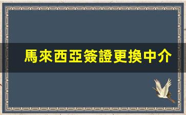 馬來西亞簽證更換中介(馬來西亞簽證更換中介費用)