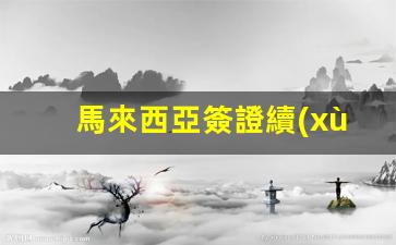 馬來西亞簽證續(xù)簽率高嗎(馬來西亞簽證申請官網(wǎng))