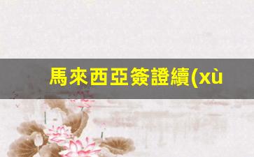 馬來西亞簽證續(xù)簽體檢醫(yī)院(馬來西亞簽證續(xù)簽多少錢)