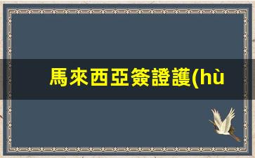 馬來西亞簽證護(hù)照圖片(馬來西亞簽證最新政策2024年)