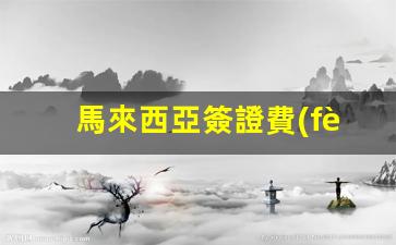 馬來西亞簽證拒退費(fèi)詳情解析，不退款政策及后果全揭秘