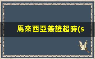 馬來西亞簽證逾期半年解決方案，簽證超時(shí)應(yīng)對(duì)指南