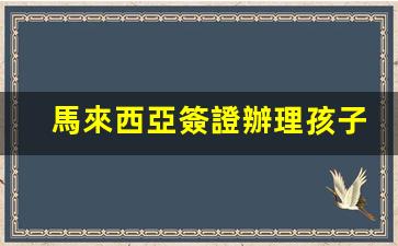 馬來西亞簽證辦理孩子(馬來西亞簽證好辦嗎)