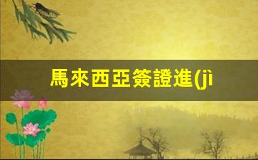 馬來西亞簽證進(jìn)度更新(馬來西亞簽證多少錢一個(gè)人)