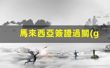 馬來西亞簽證過關(guān)(馬來西亞簽證辦理多久可以拿到)