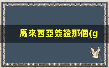 馬來西亞簽證辦理攻略，全面解析馬來西亞簽證申請流程及所需材料