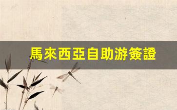 馬來西亞自助游簽證(馬來西亞自助游簽證多少錢)