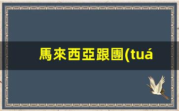 馬來西亞游客以色列行，簽證與護(hù)照雙重必備攻略