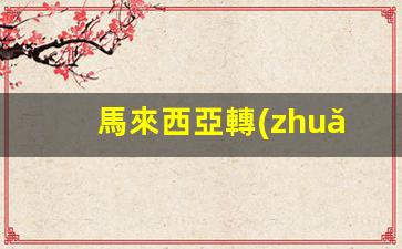馬來西亞轉(zhuǎn)機簽證預約攻略，詳述過境簽需求與預約步驟