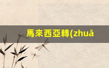 馬來西亞轉(zhuǎn)機必備攻略，簽證辦理流程詳解