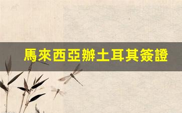 馬來西亞辦土耳其簽證好嗎(馬來西亞簽證難嗎)