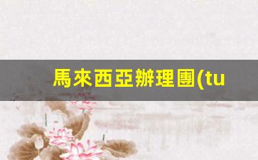馬來西亞辦理團(tuán)聚簽證要體檢嗎(馬來西亞辦理團(tuán)聚簽證要體檢嗎現(xiàn)在)