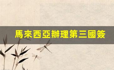 馬來西亞居民如何順利辦理第三國簽證及中國簽證攻略