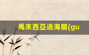 馬來西亞簽證逾期過海關(guān)怎么辦？詳解簽證續(xù)簽攻略