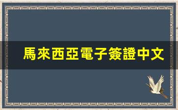 馬來西亞電子簽證中文網(wǎng)站(馬來西亞簽證是電子簽還是貼紙簽好)