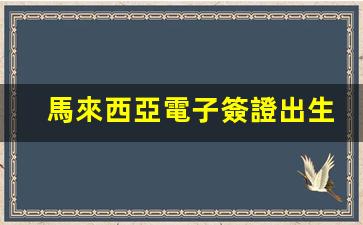 馬來西亞電子簽證必備，輕松獲取電子簽證出生證明全攻略