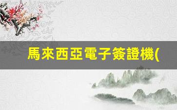 馬來西亞電子簽證機(jī)票(馬來西亞之窗電子簽)