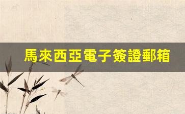馬來西亞電子簽證郵箱(馬來西亞電子簽證攻略)