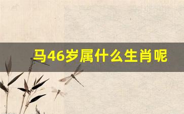 马46岁属什么生肖呢-马46岁属什么生肖呢男