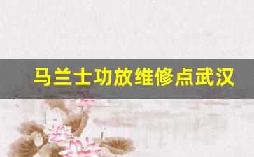 马兰士功放维修点武汉-马兰士音响维修中心