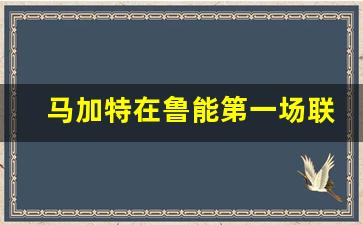 马加特在鲁能第一场联赛-马加特球员时代