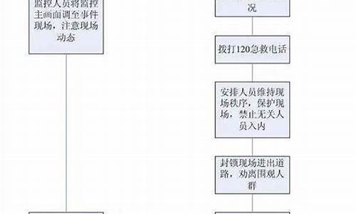 马拉松事故处理流程_马拉松事故承办方