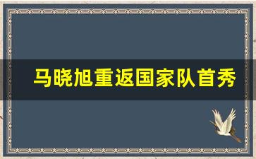 马晓旭重返国家队首秀0射门-马晓旭集锦