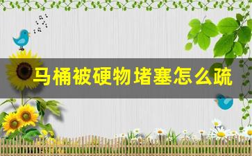 马桶被硬物堵塞怎么疏通最快-马桶被硬物堵塞怎么疏通