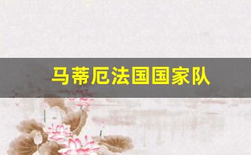 马蒂厄法国国家队-法国马蒂尼