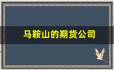 马鞍山的期货公司(马鞍山的期货公司在哪里)_https://www.xzdzcjx.com_北交所_第1张