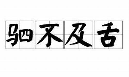 驷不及舌文犹质也质犹文也-驷不及舌可畏哉什么意思