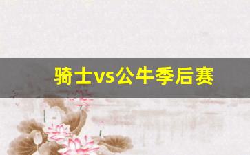 骑士对阵公牛-骑士vs公牛季后赛