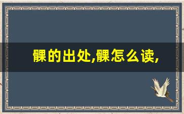 髁的出处,髁怎么读,髁的意思,髁的拼音-第1张图片-我的生活随想