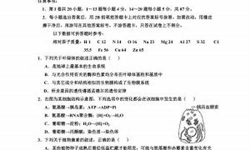 高三仿真模拟考试理综_高三仿真模拟考试理综答案