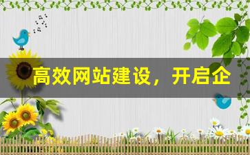 高效网站建设，开启企业营销新时代