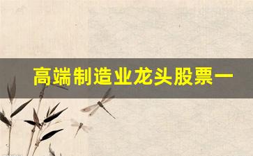 高端制造业龙头股票一览表(2024未来可能涨100倍的股票)_https://www.wguangz.com_大商所_第1张