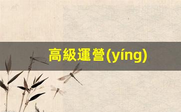 高級運營(yíng)是做什么的插圖