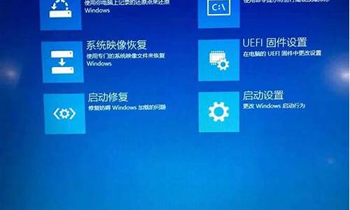 win10高级启动项修复工具_高级启动无法修复电脑系统