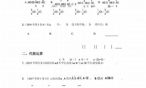 高考平面向量难题_高考平面向量