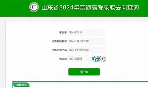 山东高考录取情况查询网址-高考录取去向查询山东