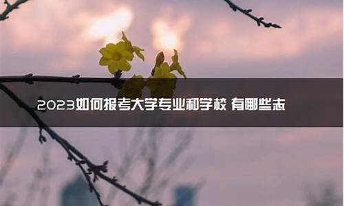 高考有哪些志愿服务项目_高考有哪些志愿