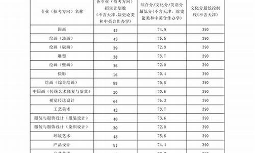 高考美术专业文化课多少分_高考美术文化课分数线是多少