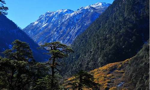 高黎贡山旅游攻略