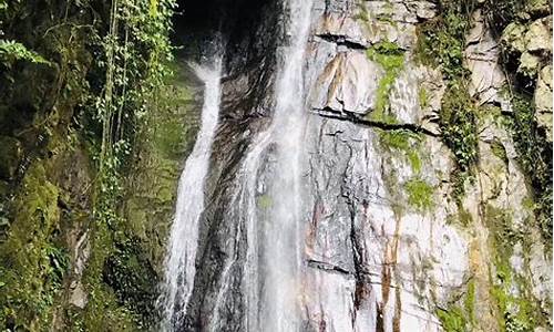 高黎贡山自然保护区图片_高黎贡山自然保护区