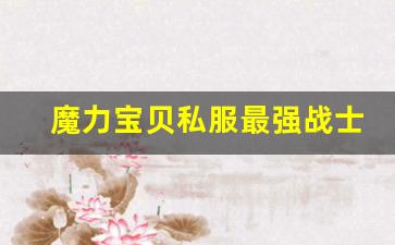 魔力宝贝私服最强战士养成攻略，肉盾输出两不误！