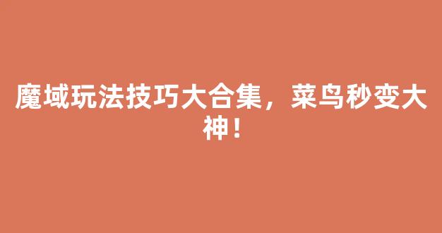 魔域玩法技巧大合集，菜鸟秒变大神！