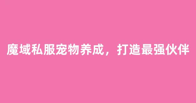 魔域私服宠物养成，打造最强伙伴