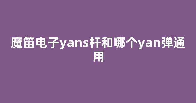 魔笛电子yanS杆