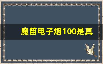 魔笛电子烟100